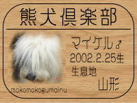 �I�[�i�[�́A�Z�o�X�`�����p�p����ł���